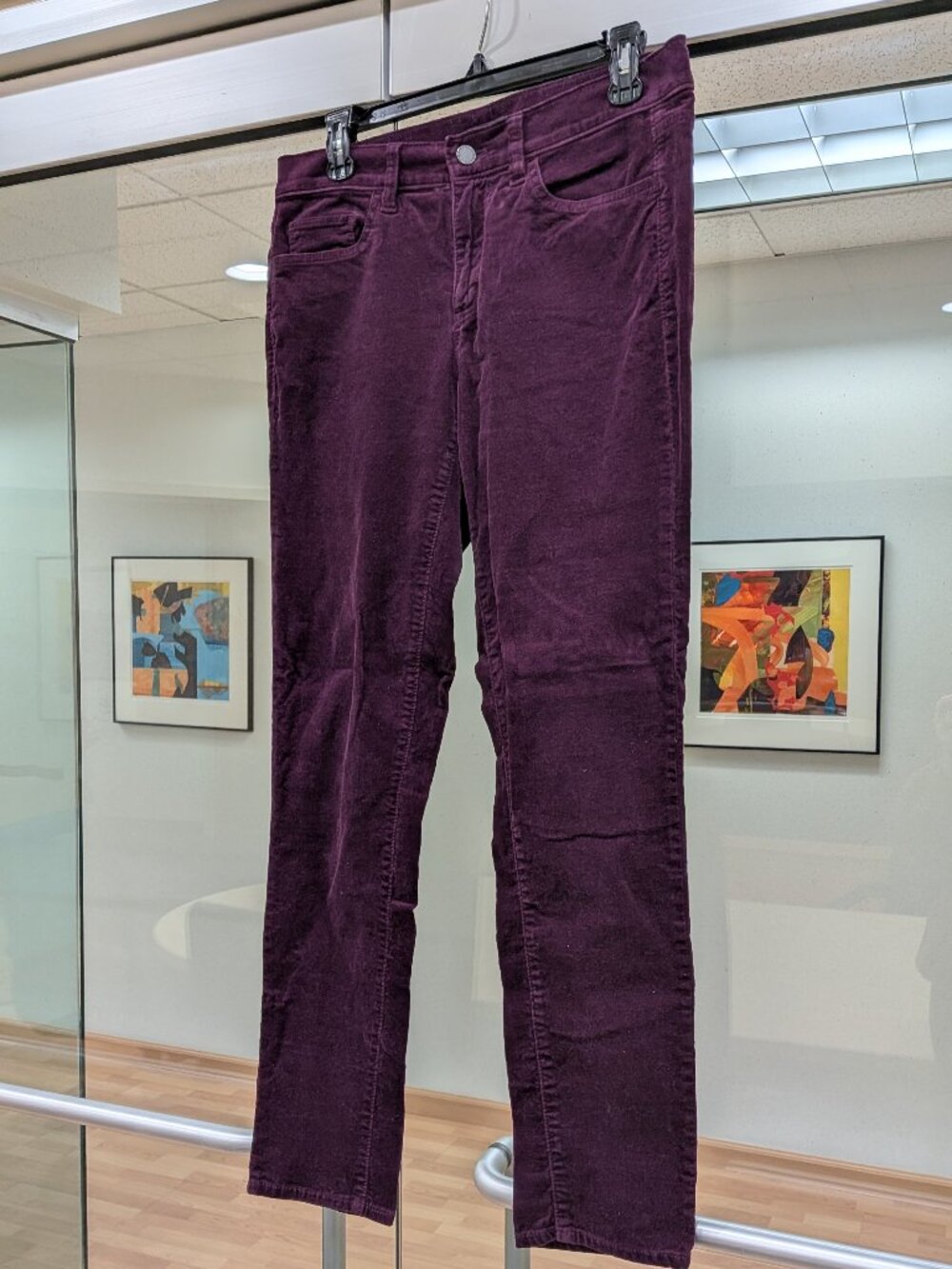 Ann Taylor Factory Modern Fit Dark Purple Velvet Pants